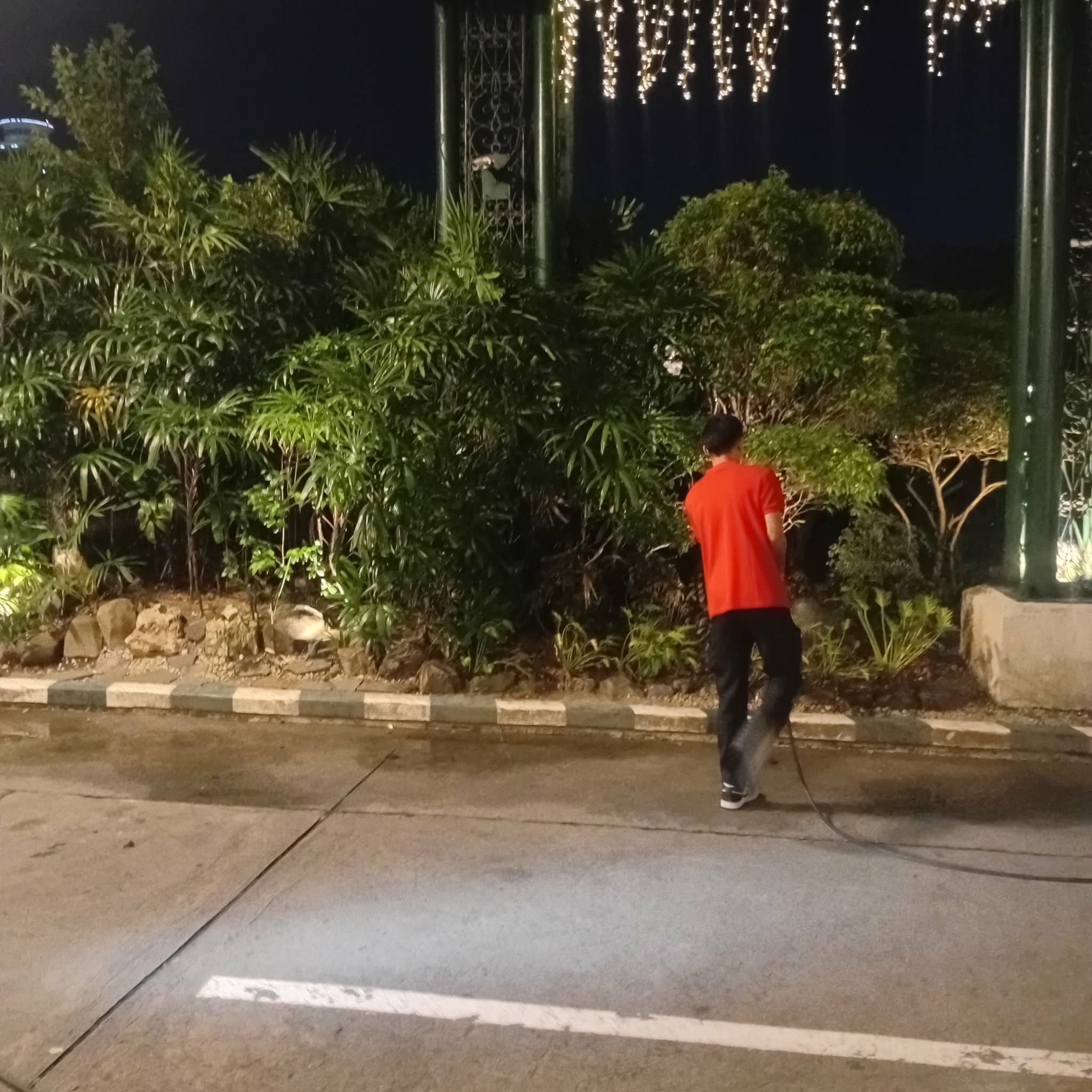DRAM Pest Control Service
